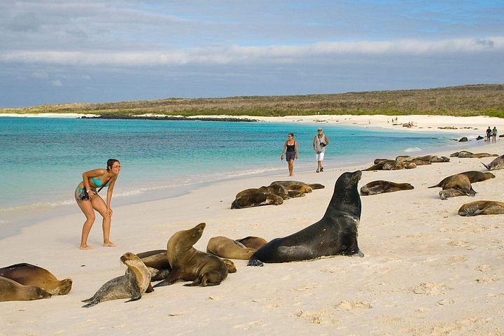 Tortuga Bay